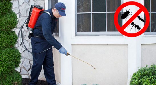 Foça Gümüşkurt İlaçlama böcek ilaçlama ve haşere kontrolü — ilaclama-tr.com